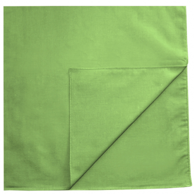 Бандана однотонная, цвет салатовый 55 х 55 см