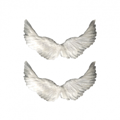 Крылья ангела белые перьевые карнавальные большие 60х35см, на Хэллоуин и Новый год (2 пары в наборе)