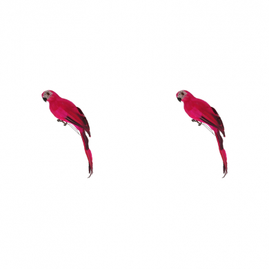 Попугай перьевой "Пират" средний пиратский на плечо, цвет красный, размер 35 см (Набор 2 шт.). Пиратская вечеринка.