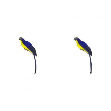 Попугай перьевой "Пират" средний пиратский на плечо, цвет синий, размер 35 см (Набор 2 шт.). Пиратская вечеринка.