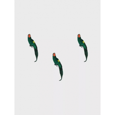 Попугай перьевой "Пират" большой пиратский на плечо, цвет зеленый, размер 45 см. Пиратская вечеринка. (Набор 3 шт.)