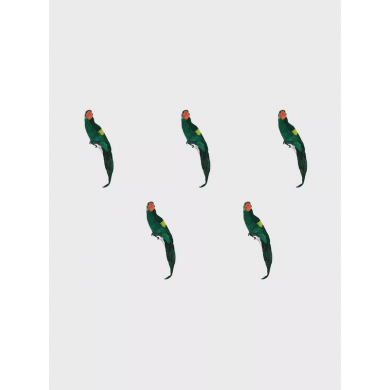 Попугай перьевой "Пират" большой пиратский на плечо, цвет зеленый, размер 45 см. Пиратская вечеринка. (Набор 5 шт.)