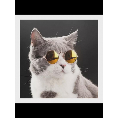 Солнцезащитные очки для кошек, собак, животных, для фото, цвет желтый (Набор 5 пар)