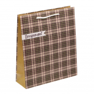 Пакет вертикальный крафт "Поздравляю. Зеленая клетка" коричневый бежевый, ML 23 х 27 х 8 см